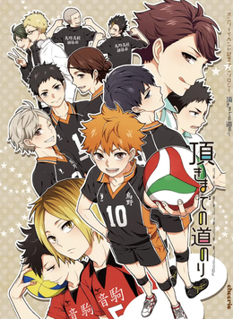 Доджінші Haikyu!! The way to the top 2102257 фото